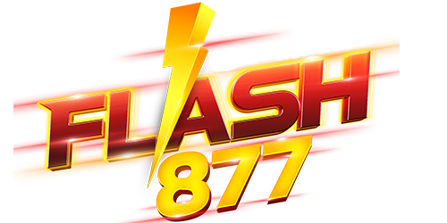 flash877-LOGO