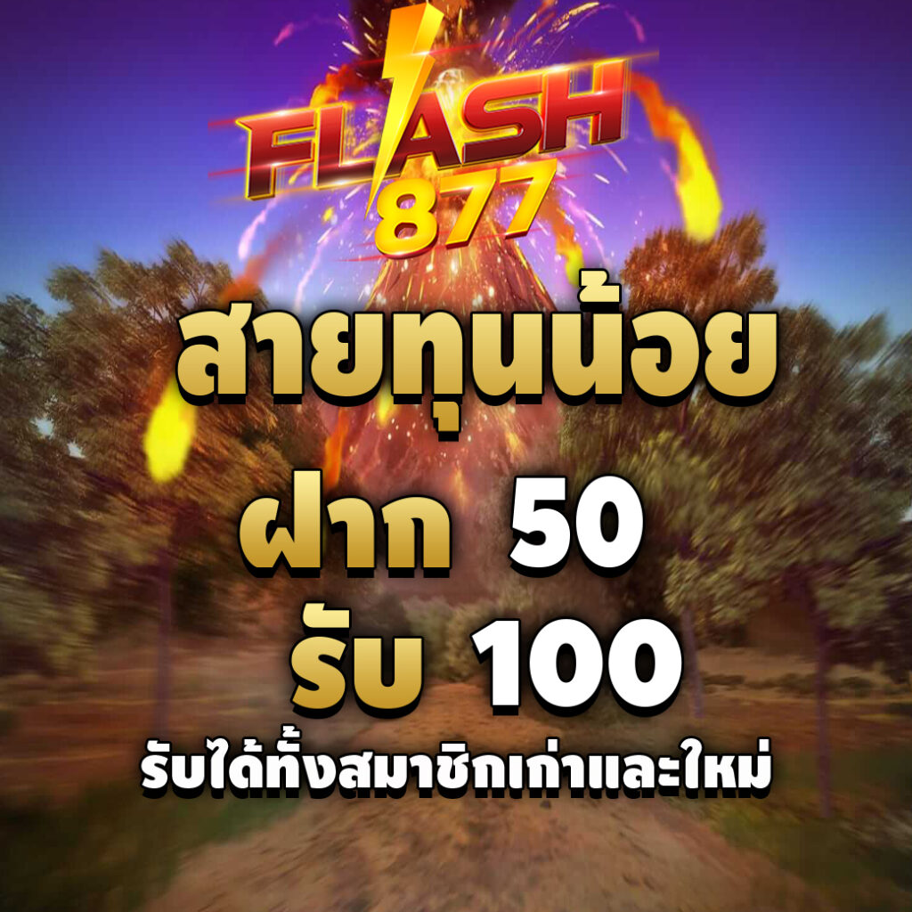 flash877-promotion-สายทุนน้อย